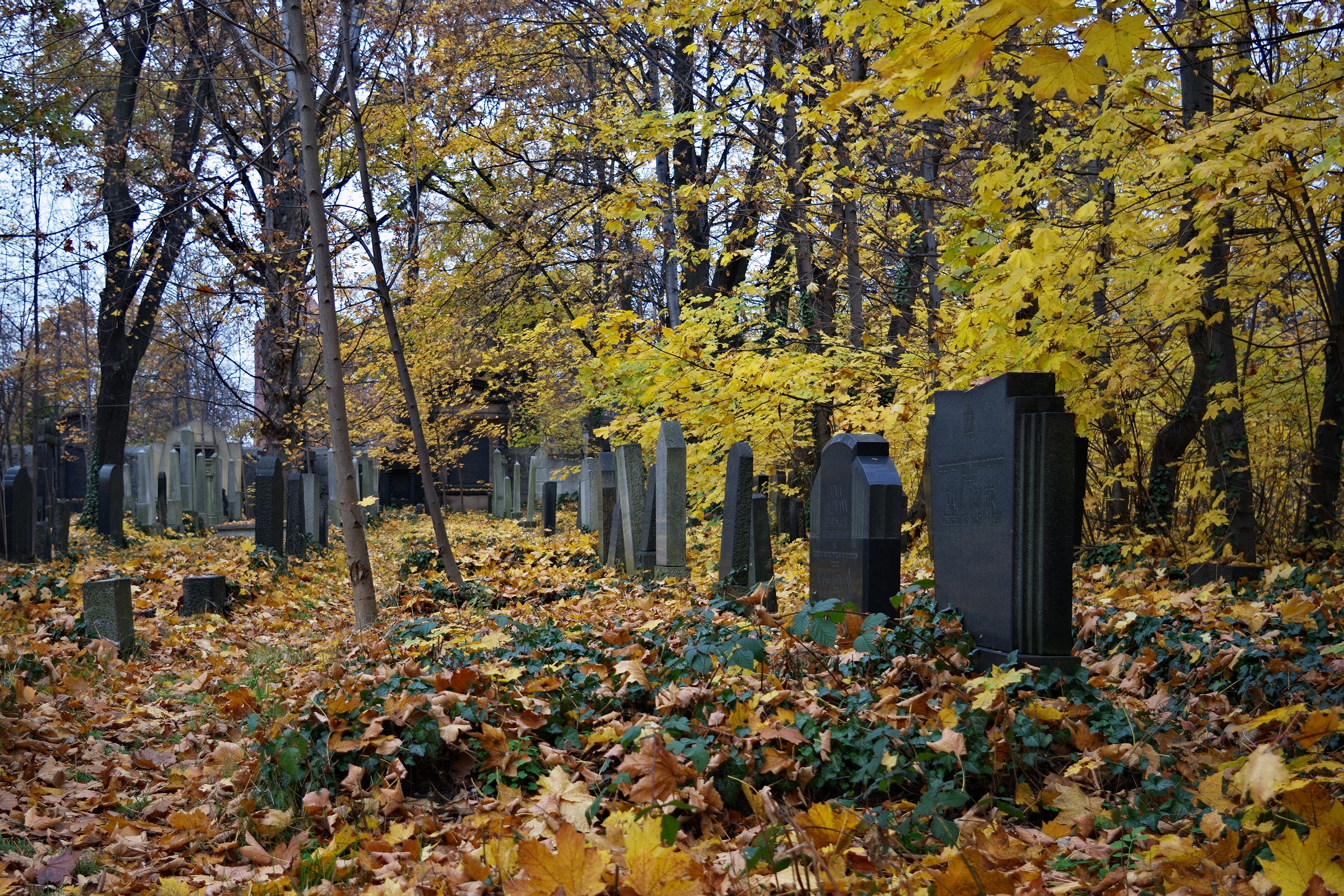 Der jüdische Friedhof