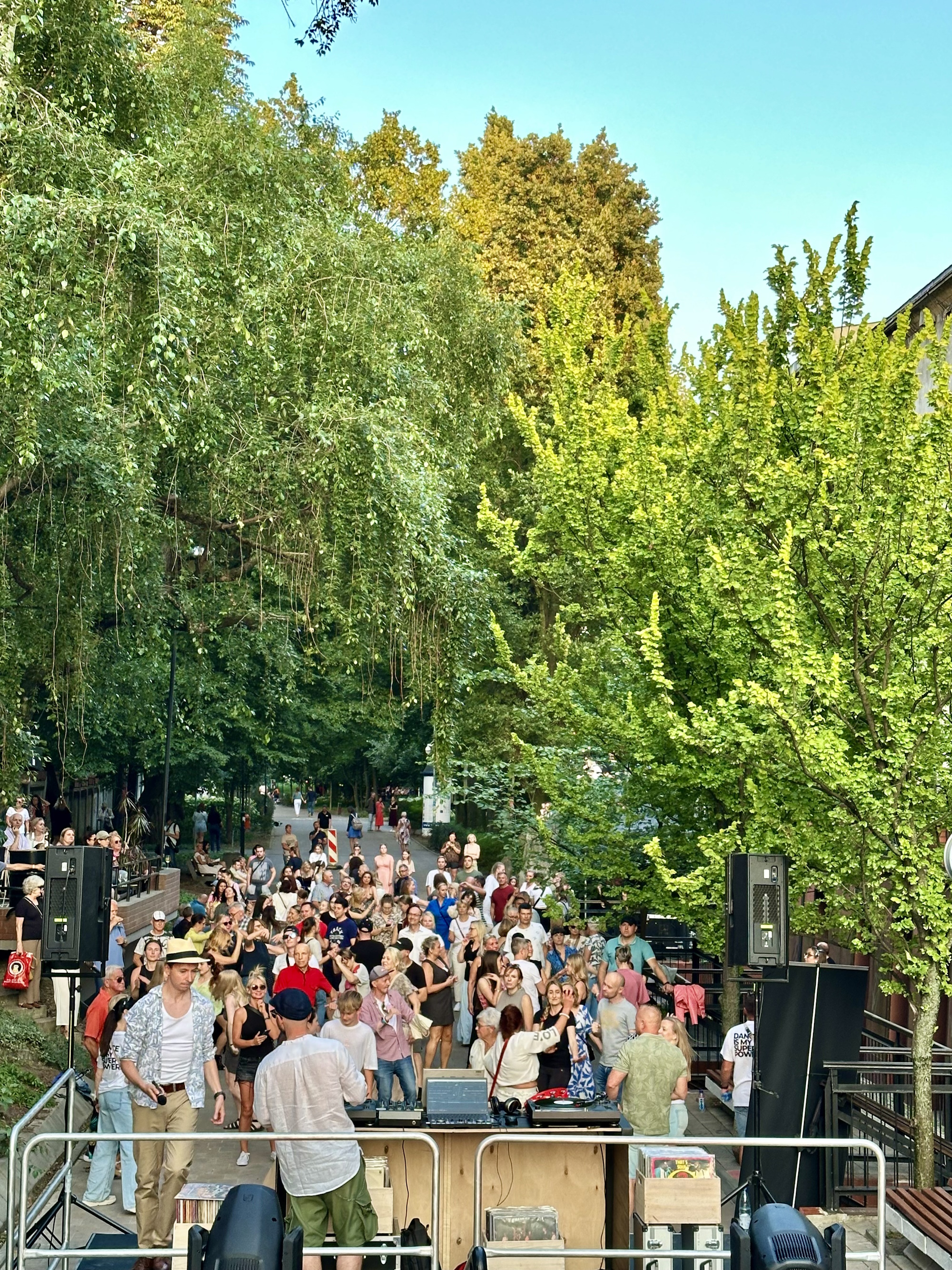 Fot. UM Gliwice tańczący tłum ludzi