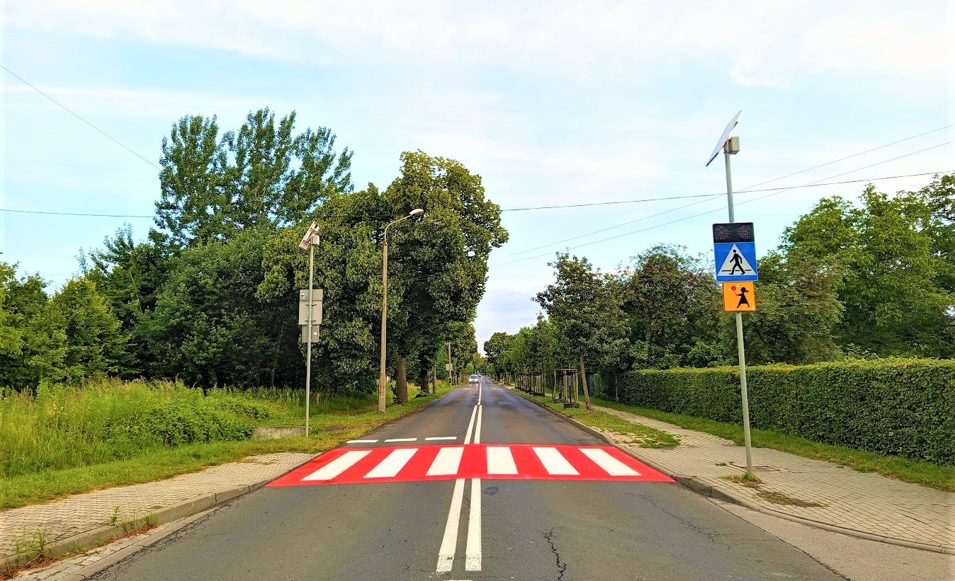 pasy, ulica, zieleń