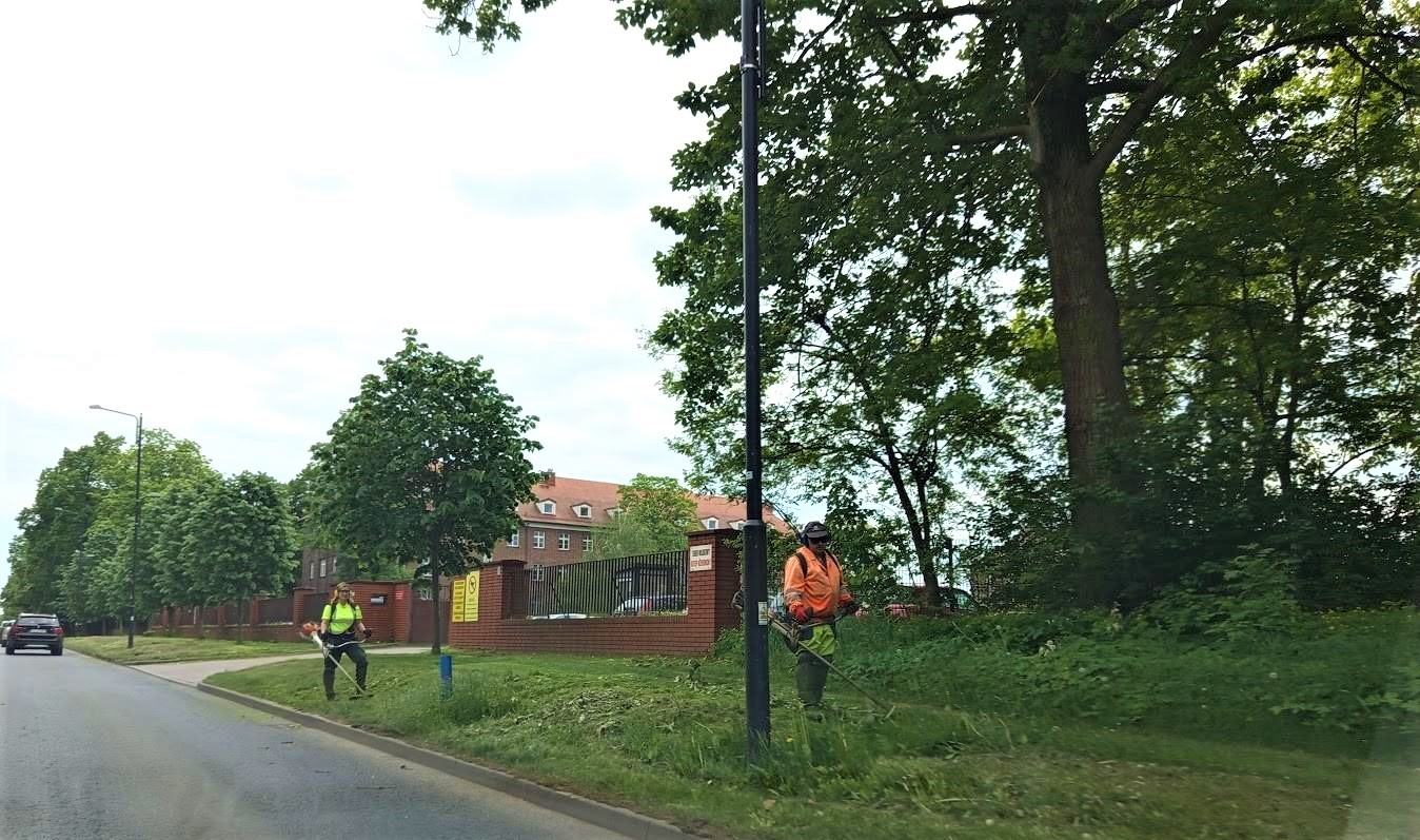 dwoje ludzi z kosiarkami kosi trawniki przy jezdni