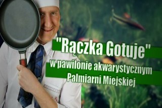 "Rączka Gotuje" w... Gliwicach!