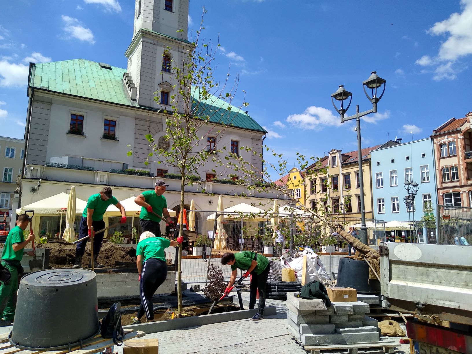 #zielonegliwice Sadzą drzewa na Rynku!
