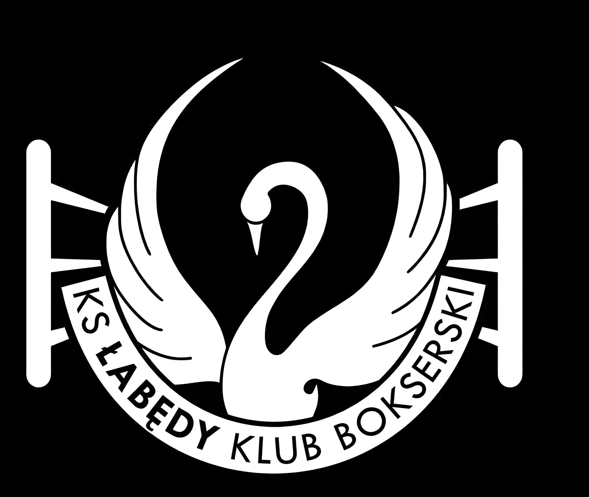 KS Łabędy BOKS