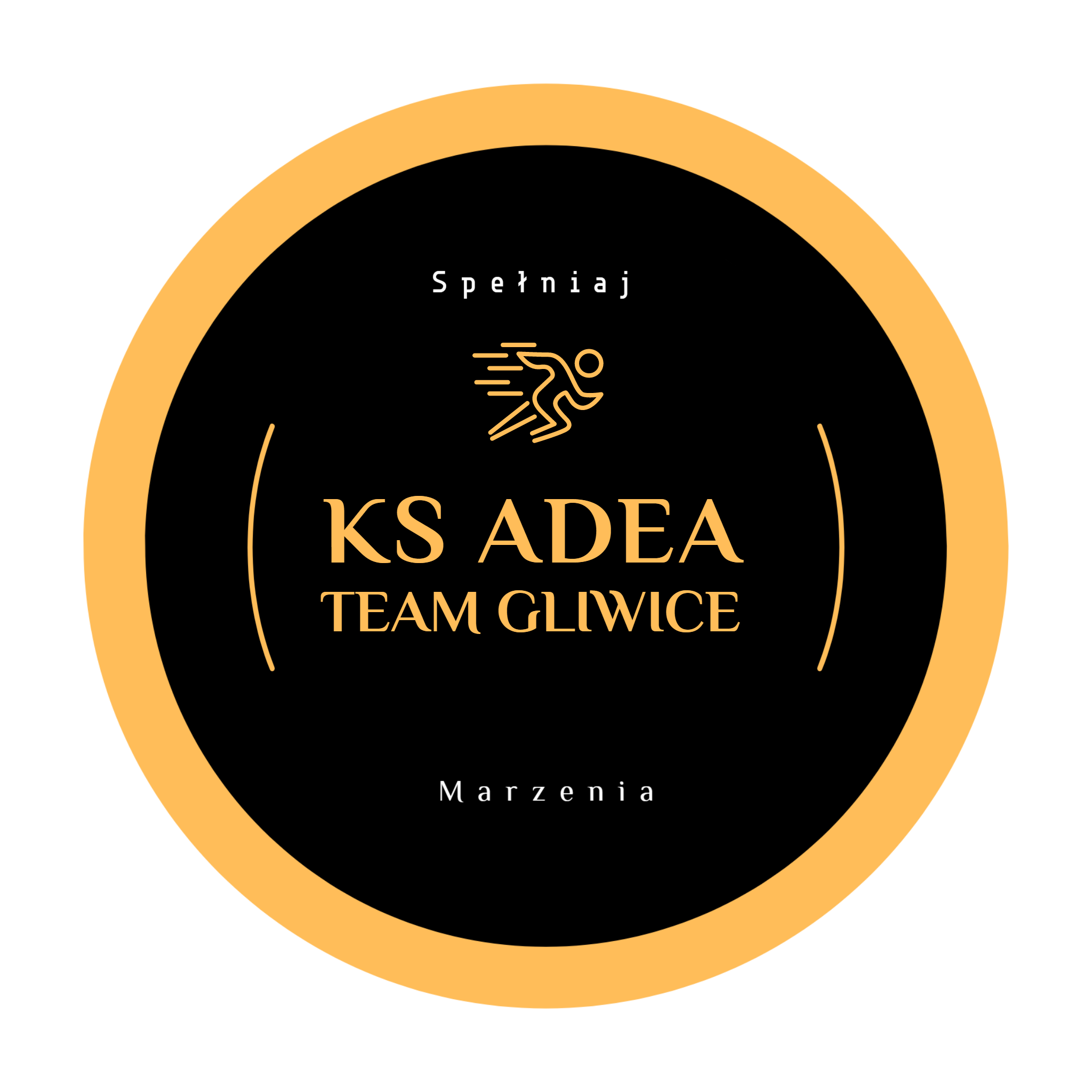 KS Adea Team Gliwice