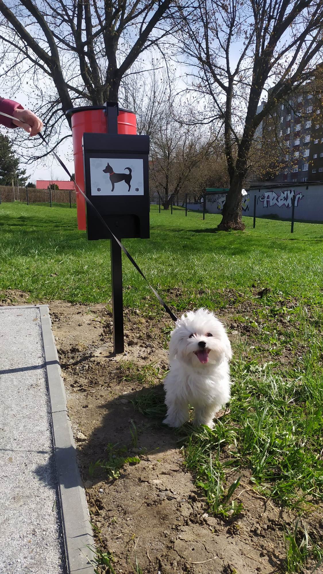 Piesek przy koszu na odchody na wybiegu dla psów w Szobiszowicach