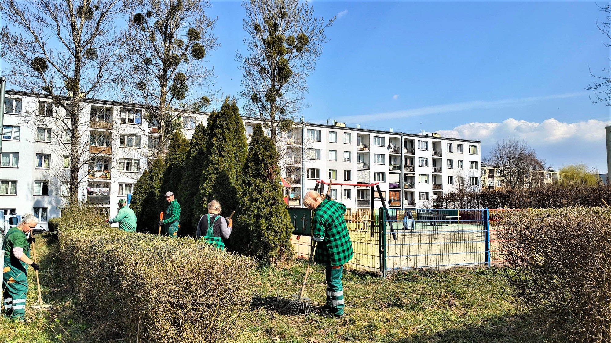 ludzie w zielonych kombinezonach pielęgnują żywopłot