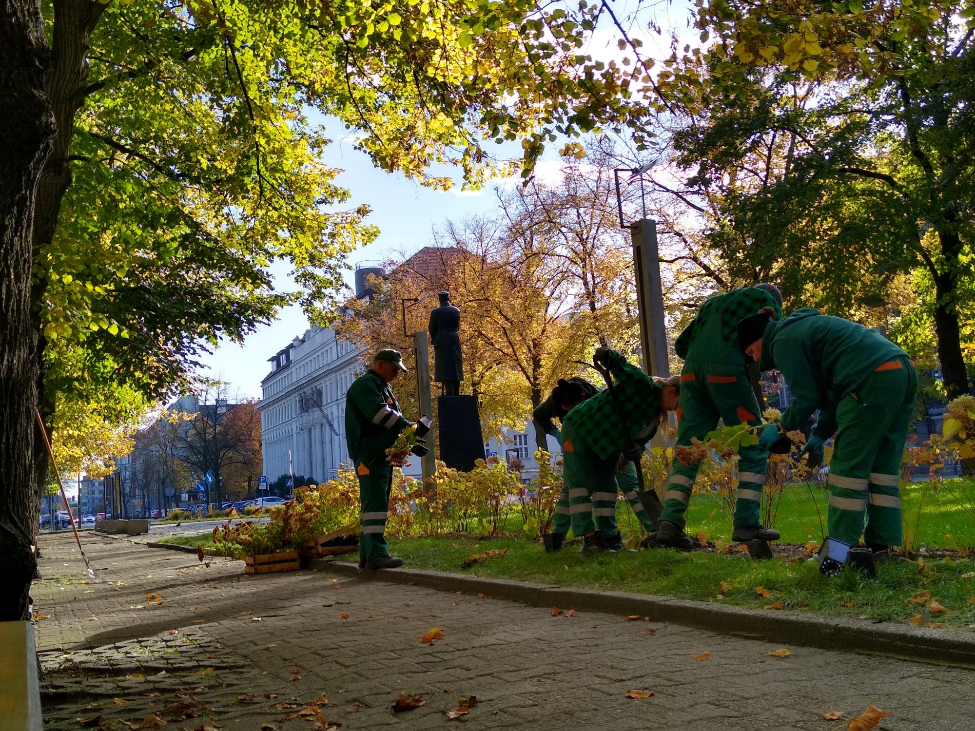 nowe rośliny na placu Piłsudskiego