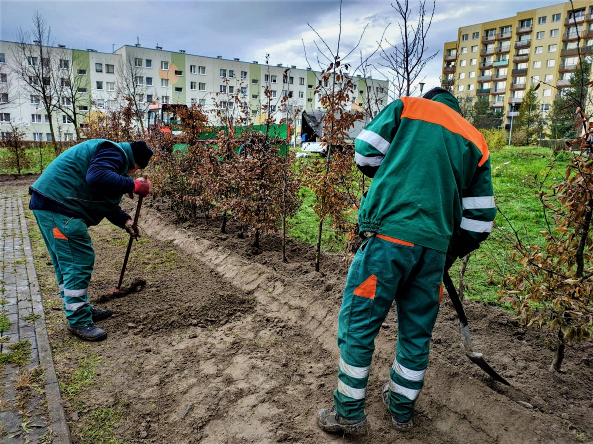 ludzie w zielonych ubraniach sadzą drzewa