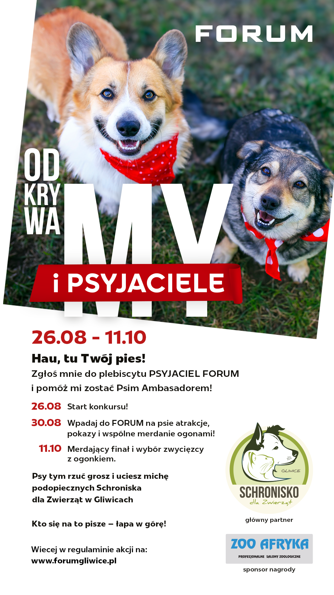 Plakat ze zdjęciem psa i wypisanym harmonogramem