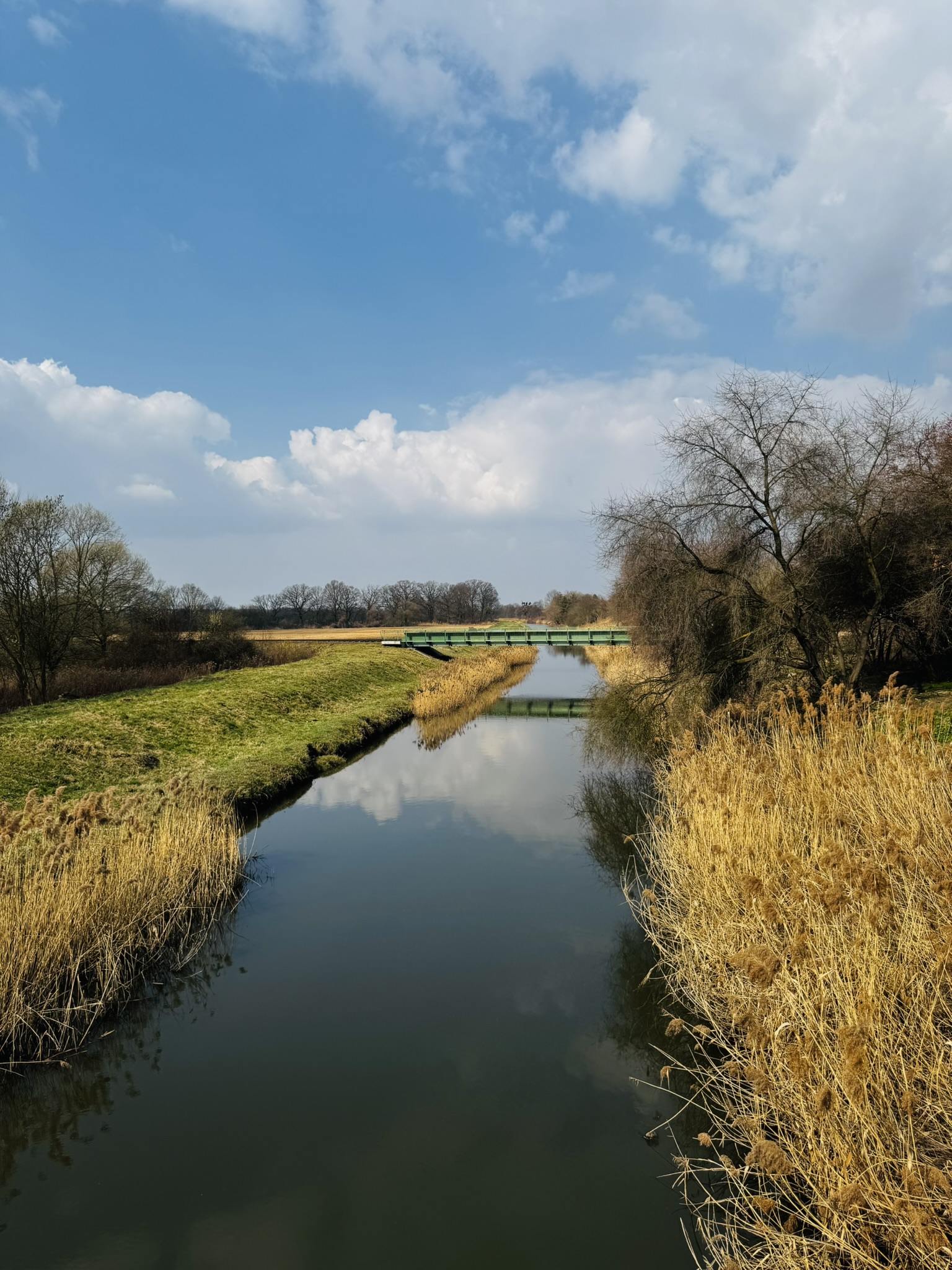 Kłodnica ma szansę znów stać się ważną częścią Gliwic – miejscem spacerów, odpoczynku, kontaktu z naturą i spotkań mieszkańców. Biuro Urbanisty Miasta ogłasza konkurs studialny na opracowanie koncepcji Bulwarów Kłodnicy.