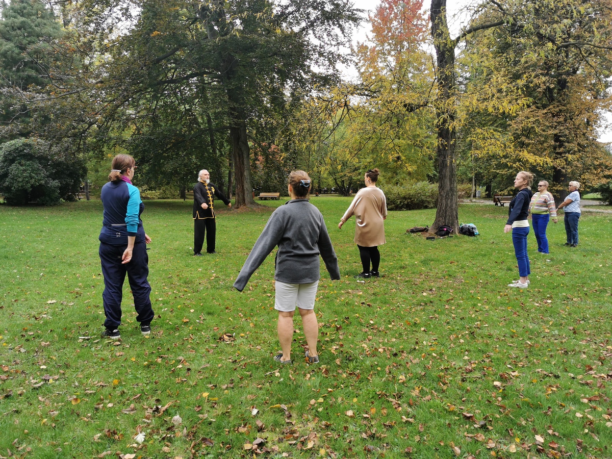 Praktyka Tai Chi w parku Chopina