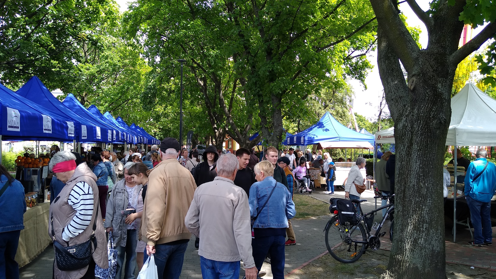 Fot. M.Foltyn/UM Gliwice ludzie na targu, pod drzewami i stoiska z żywnością