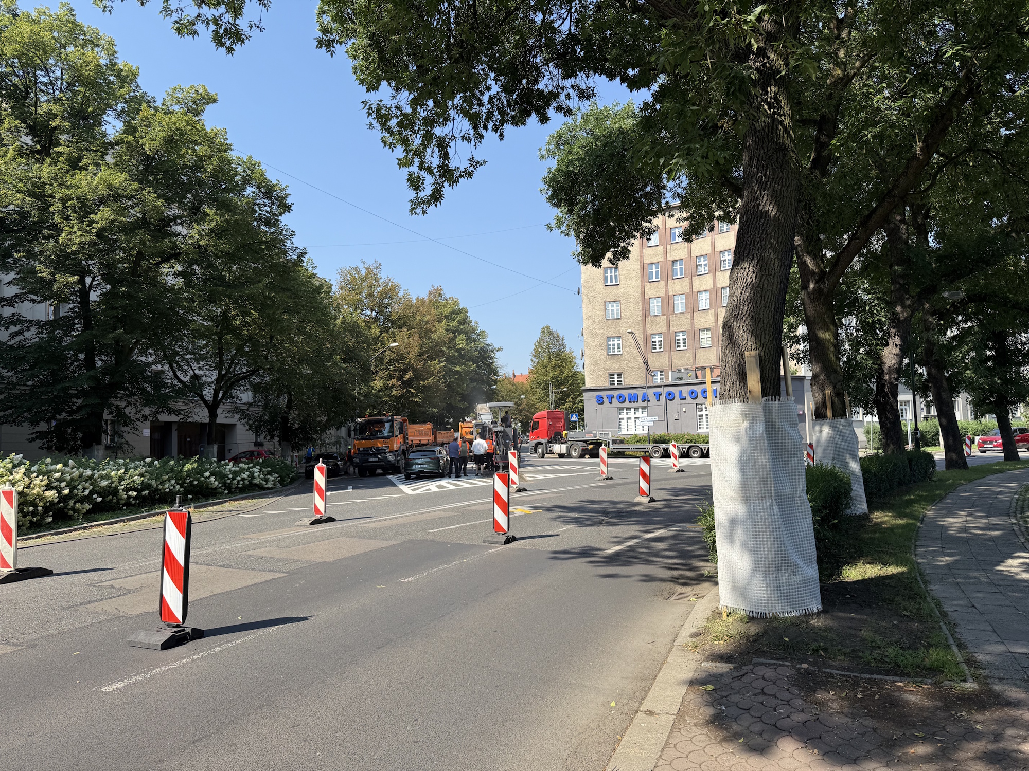 droga i zabezpieczone drzewa