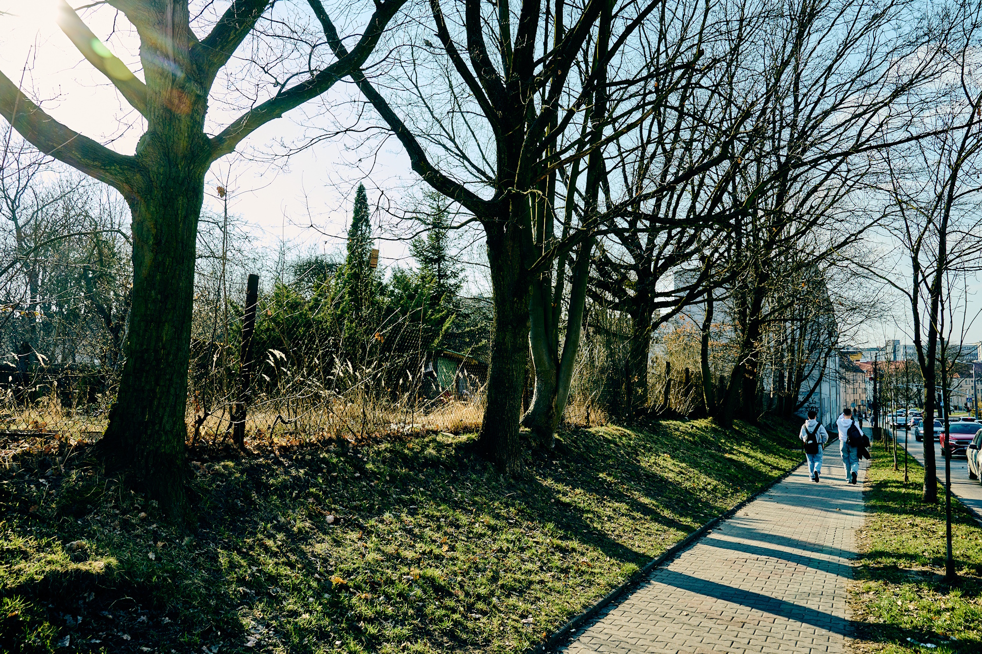 widok z góry na kompleks ogródków działkowych między ul. Kochanowskiego i ul. Bajana