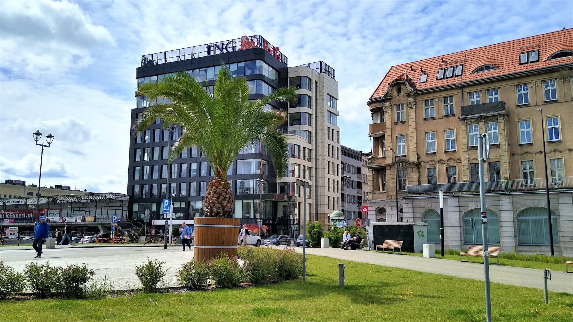 palma na skwerze Europejskim