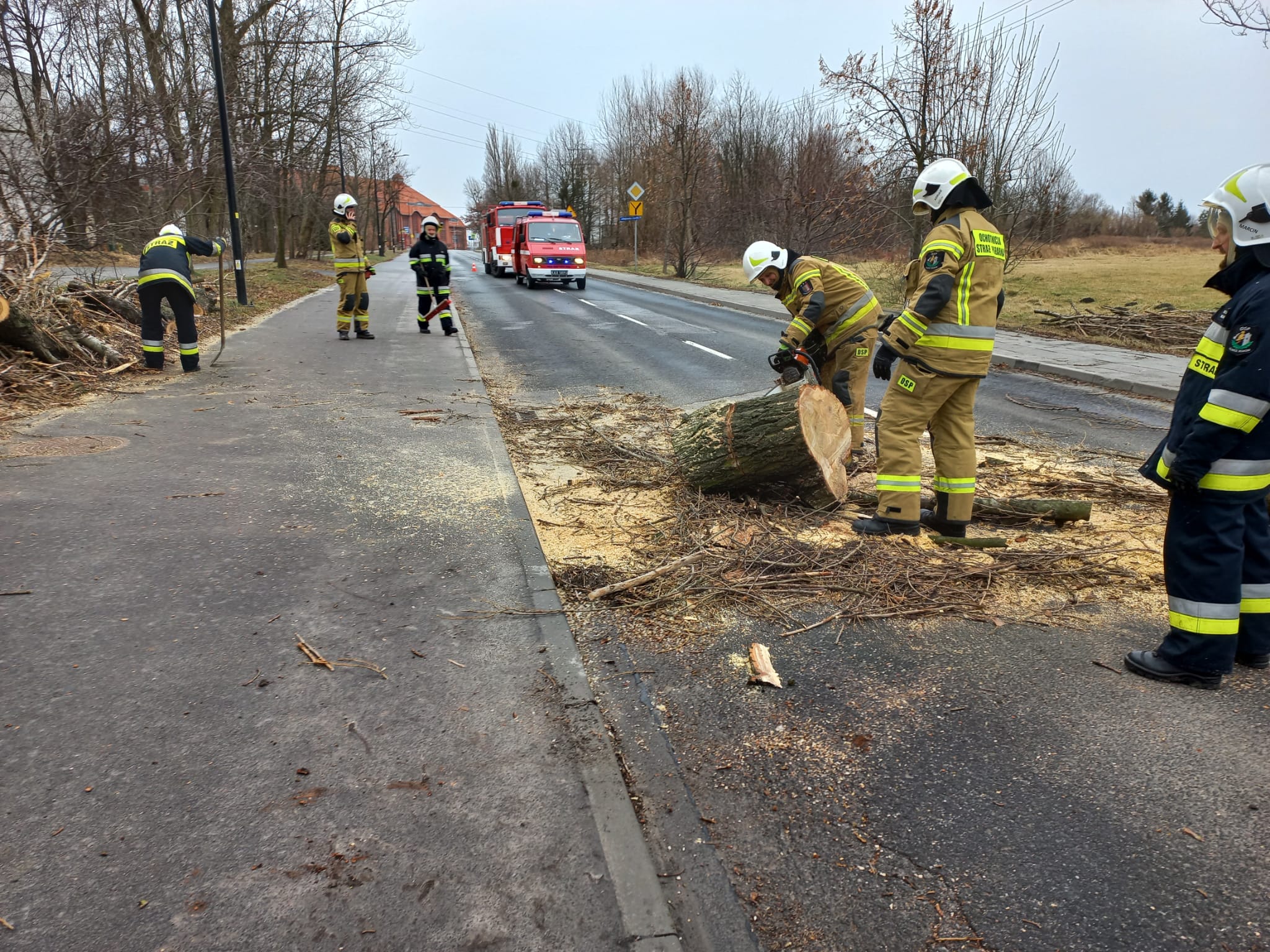 strażacy piłują przewalone drzewo