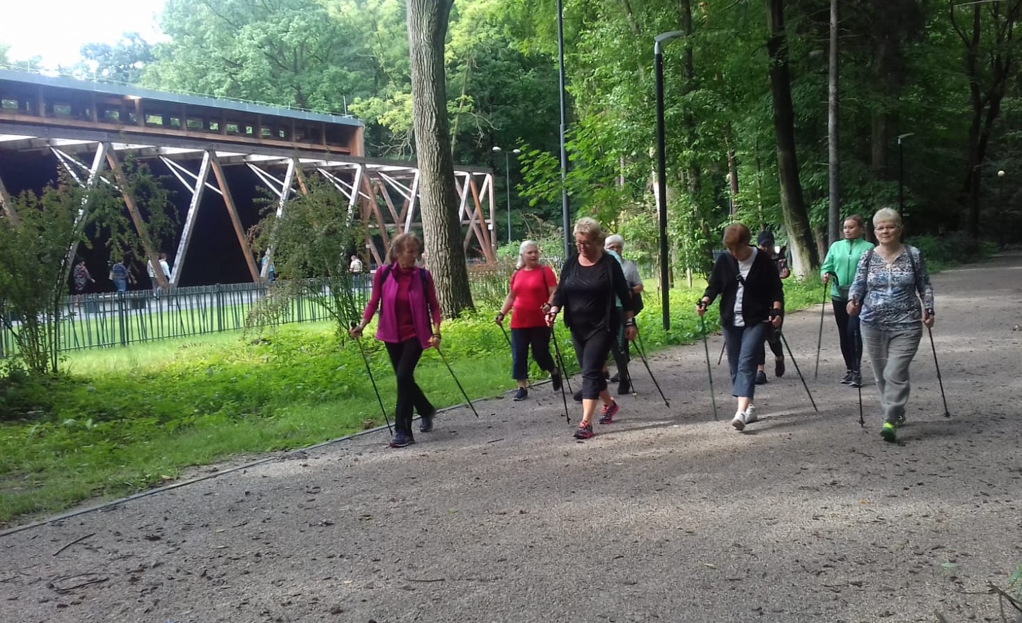 zajęcia Nordic Walking