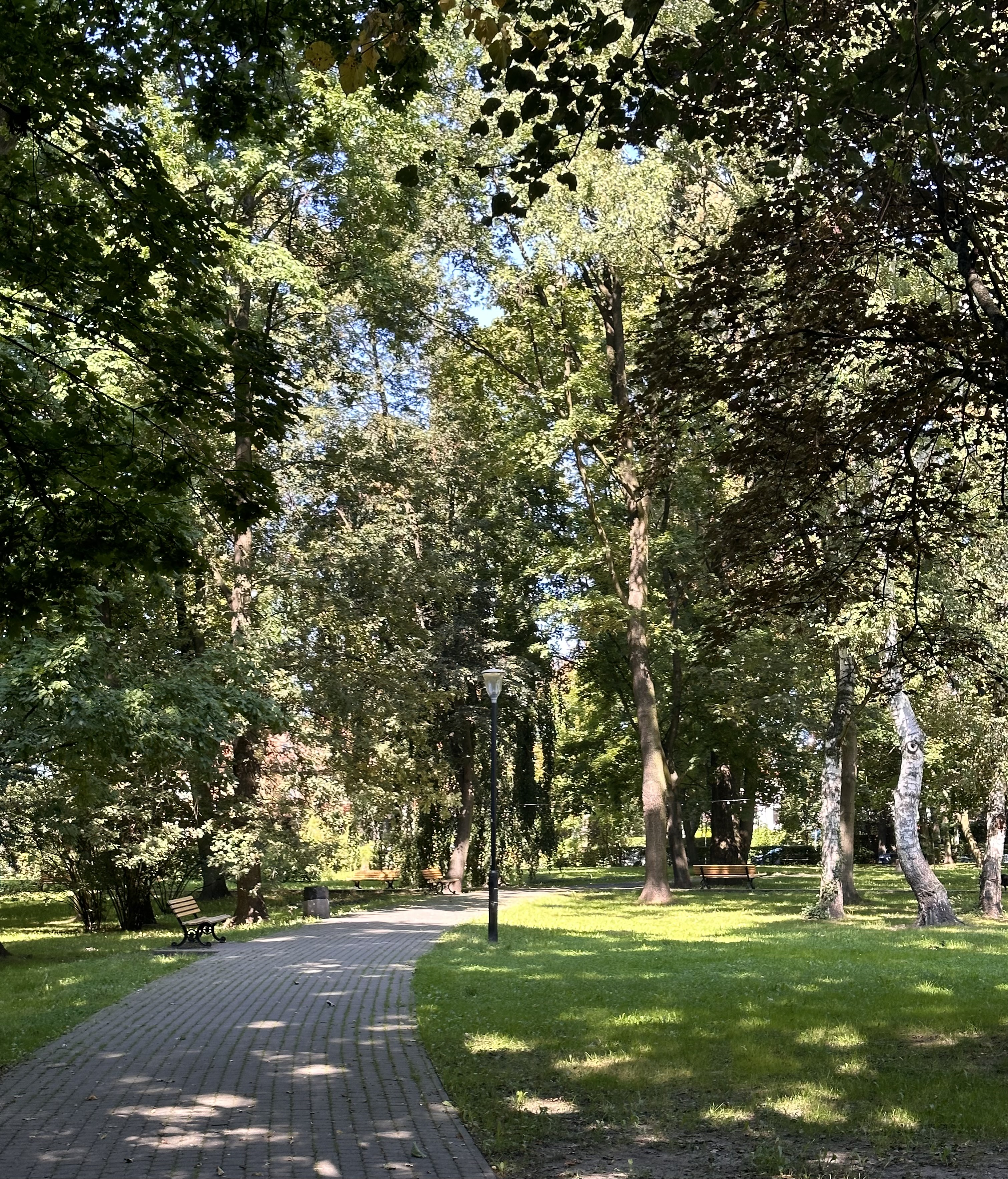 Zdjęcie parku Grunwaldzkiego