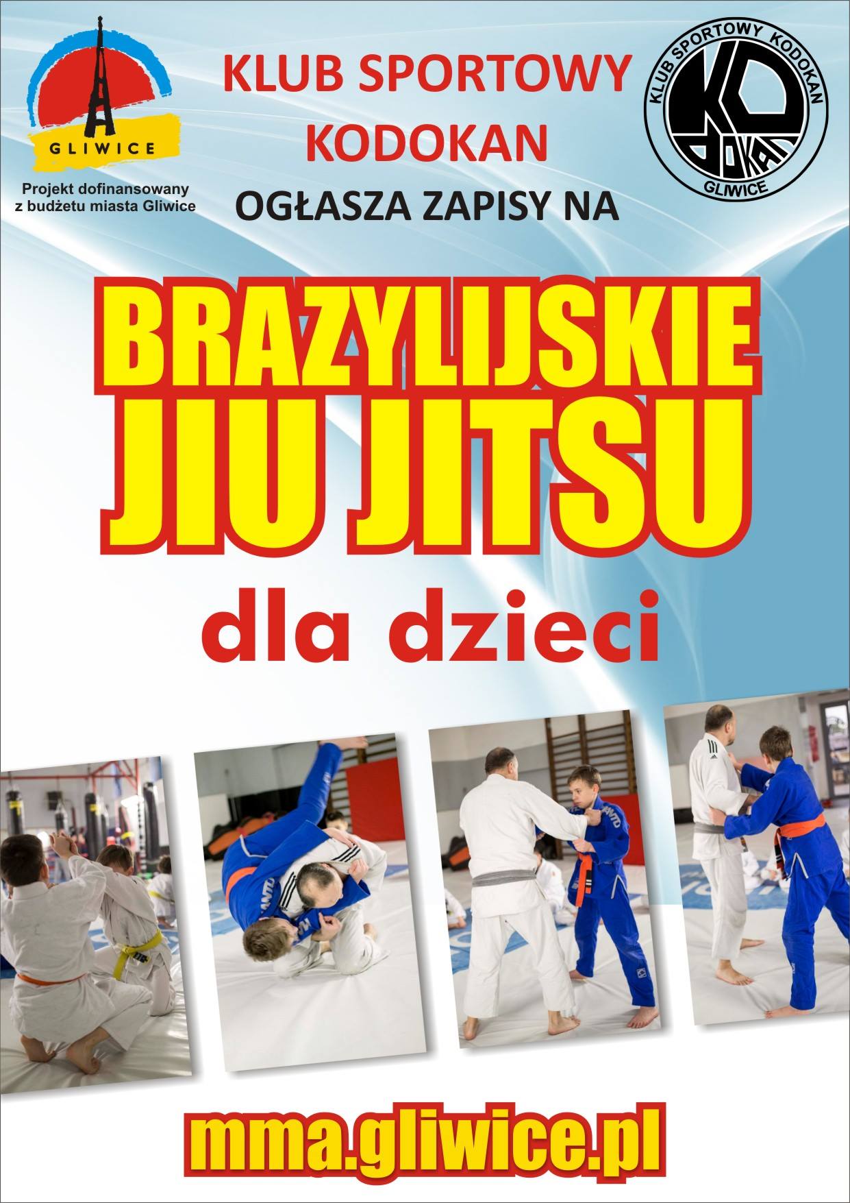 bjj plakat