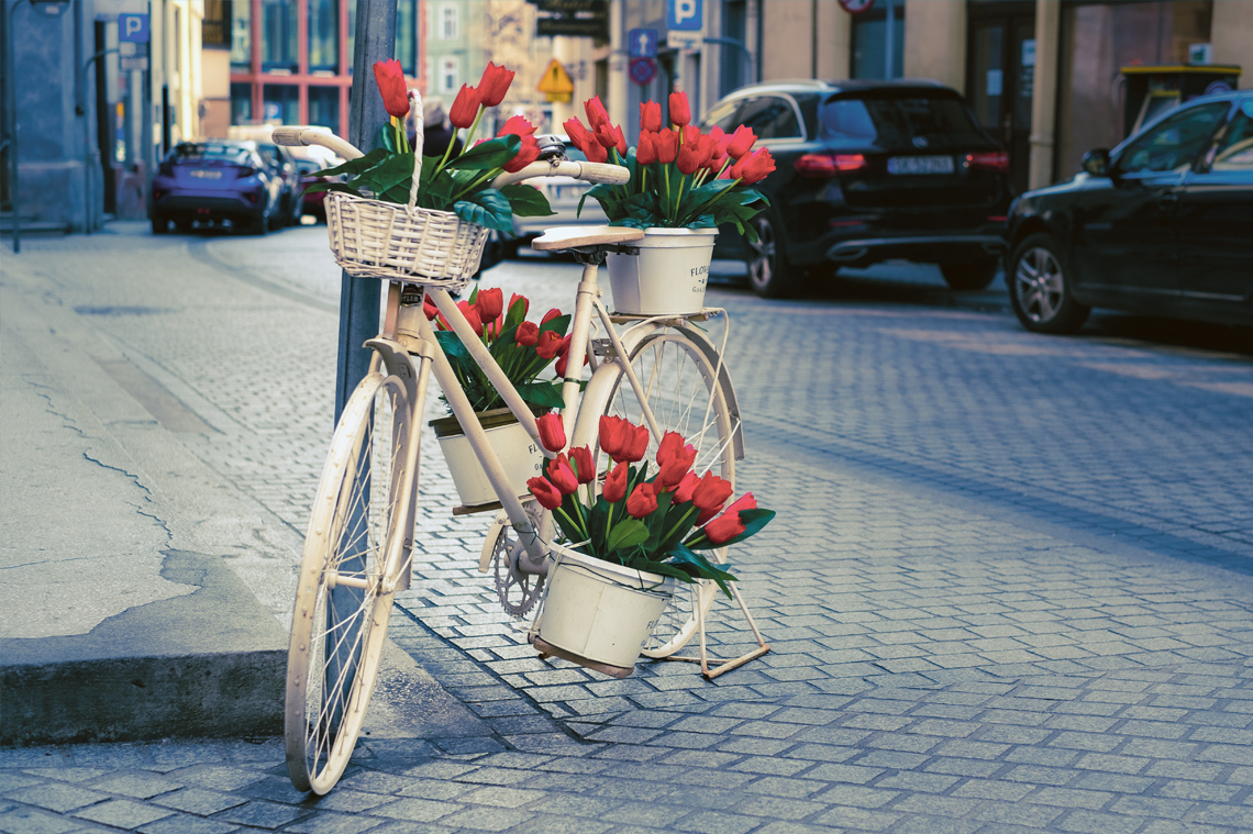 rower z kwiatami