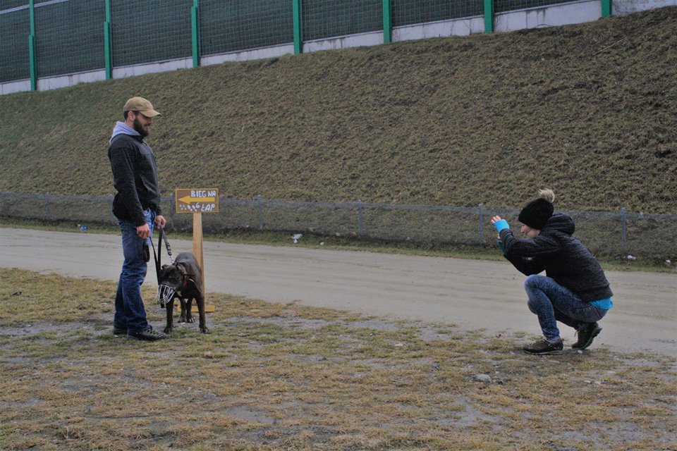 Biegają, bo kochają… psy