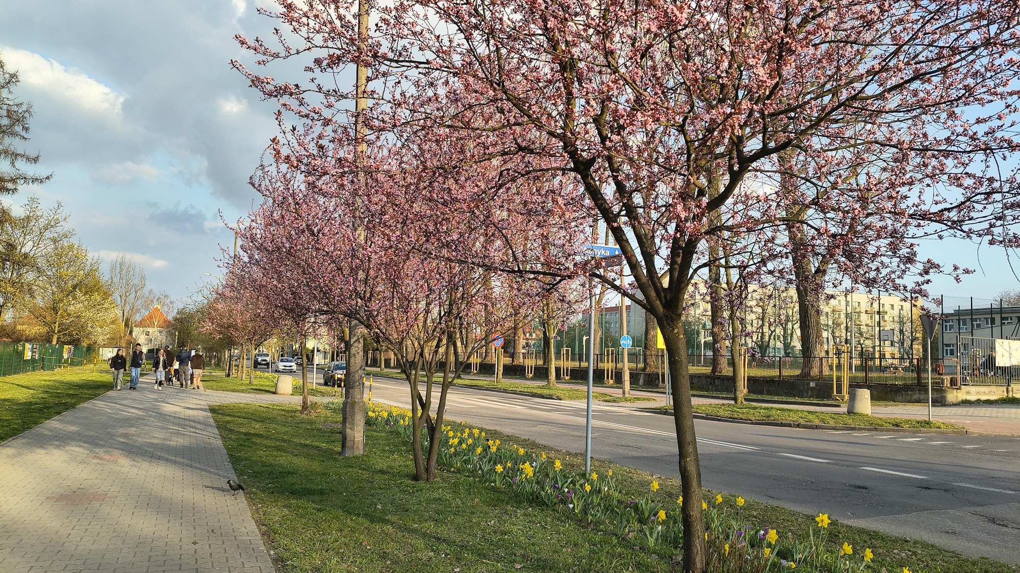 Te kolory! Cieszmy się wiosną