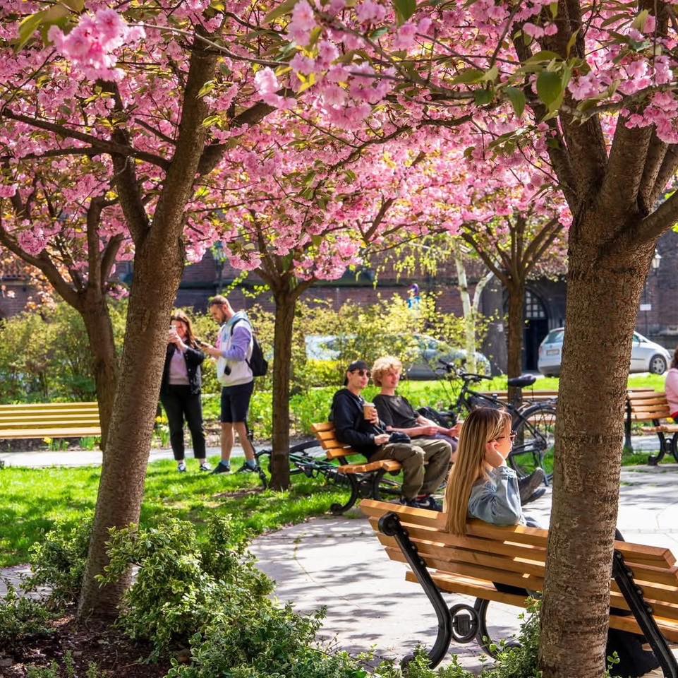 Szukacie scenerii do pięknych zdjęć? Plac Rzeźniczy poleca się na świetne ujęcia