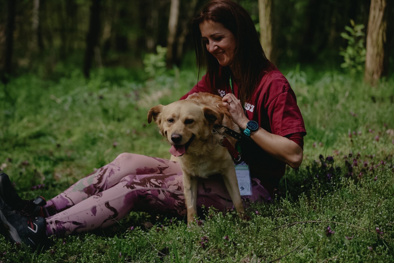 Milo kocha ludzi i szuka domu