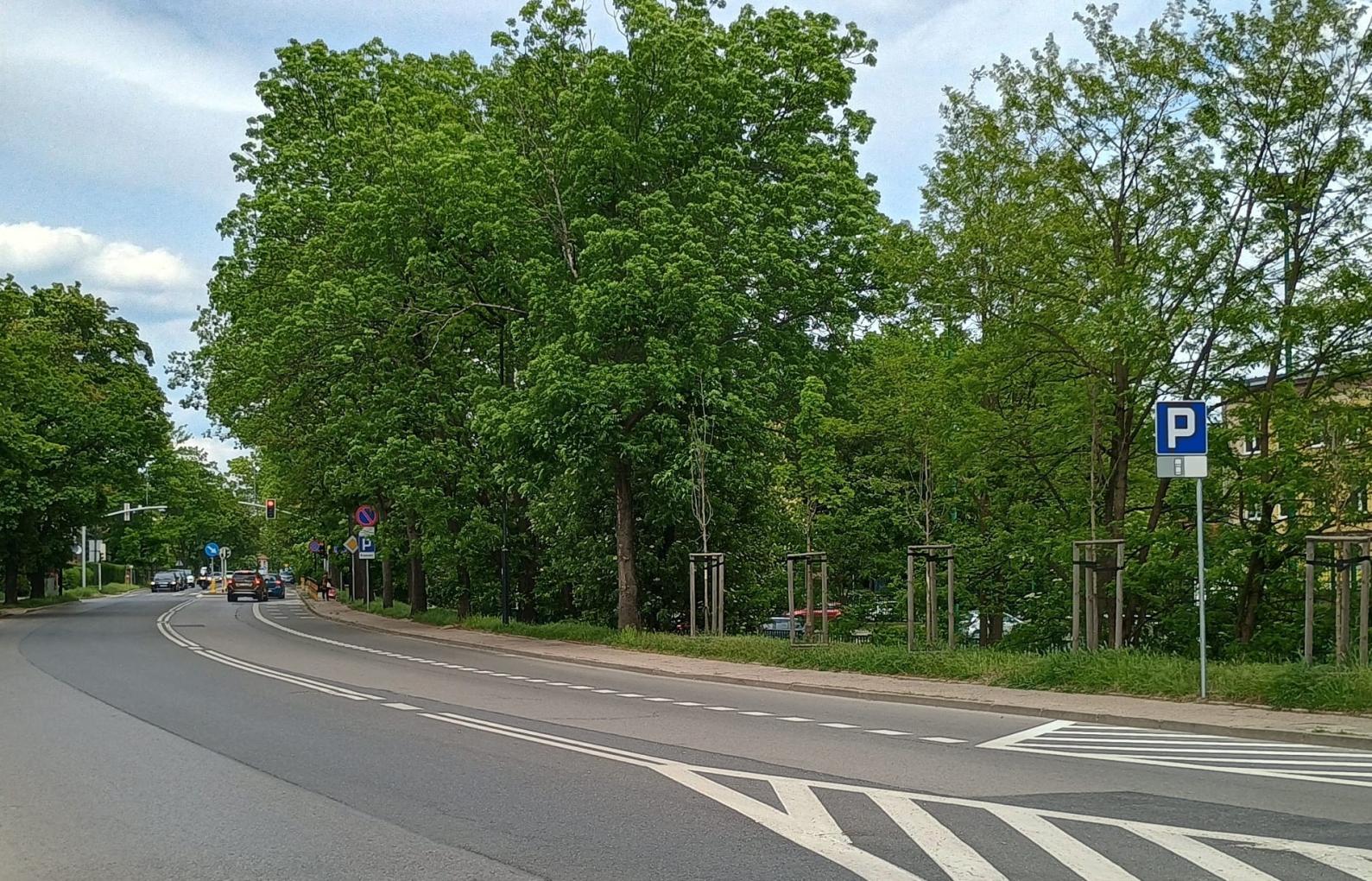 ulica, drzewa