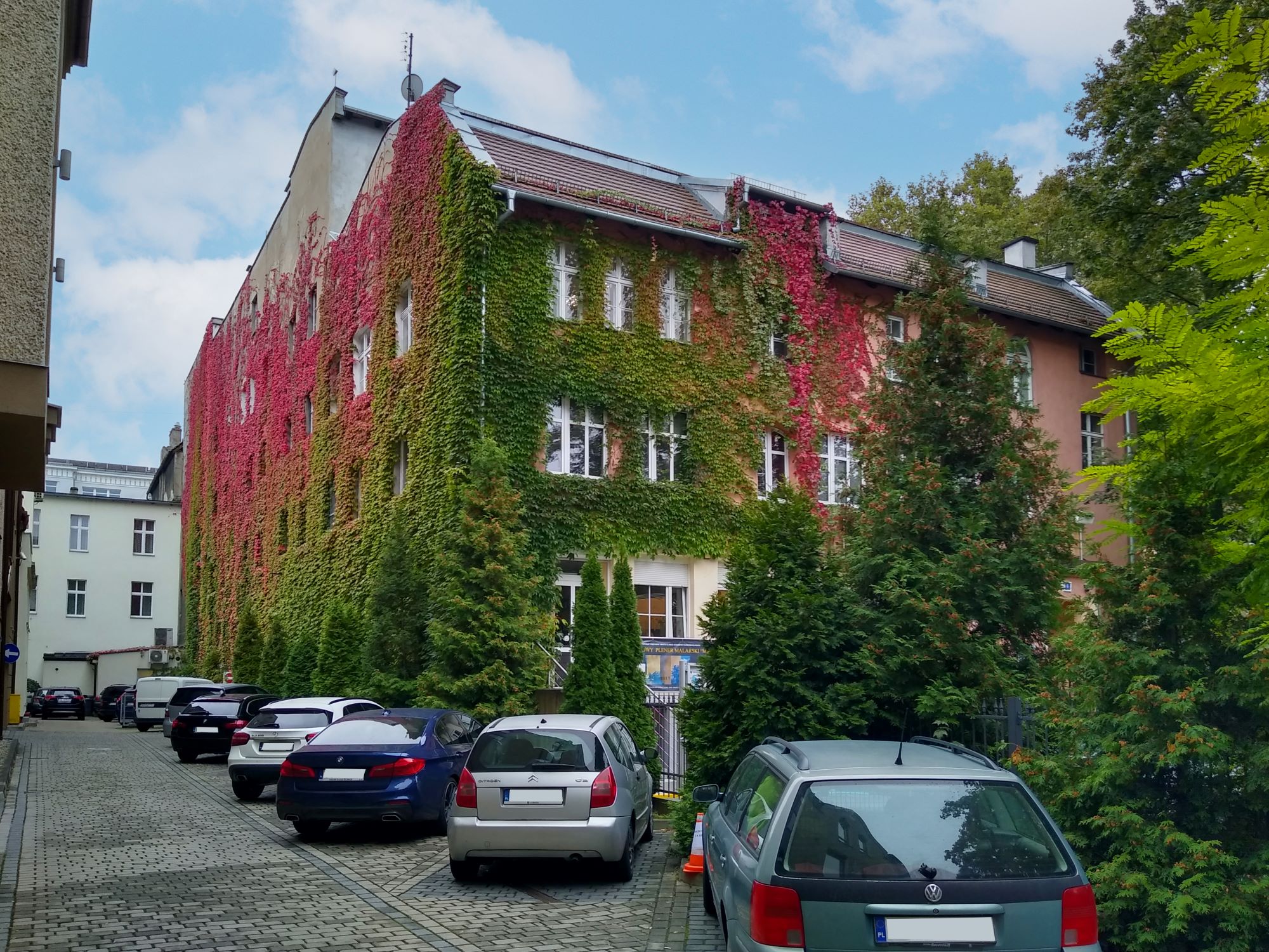 budynek opatulony winobluszczem w zielonych i czerwonych barwach