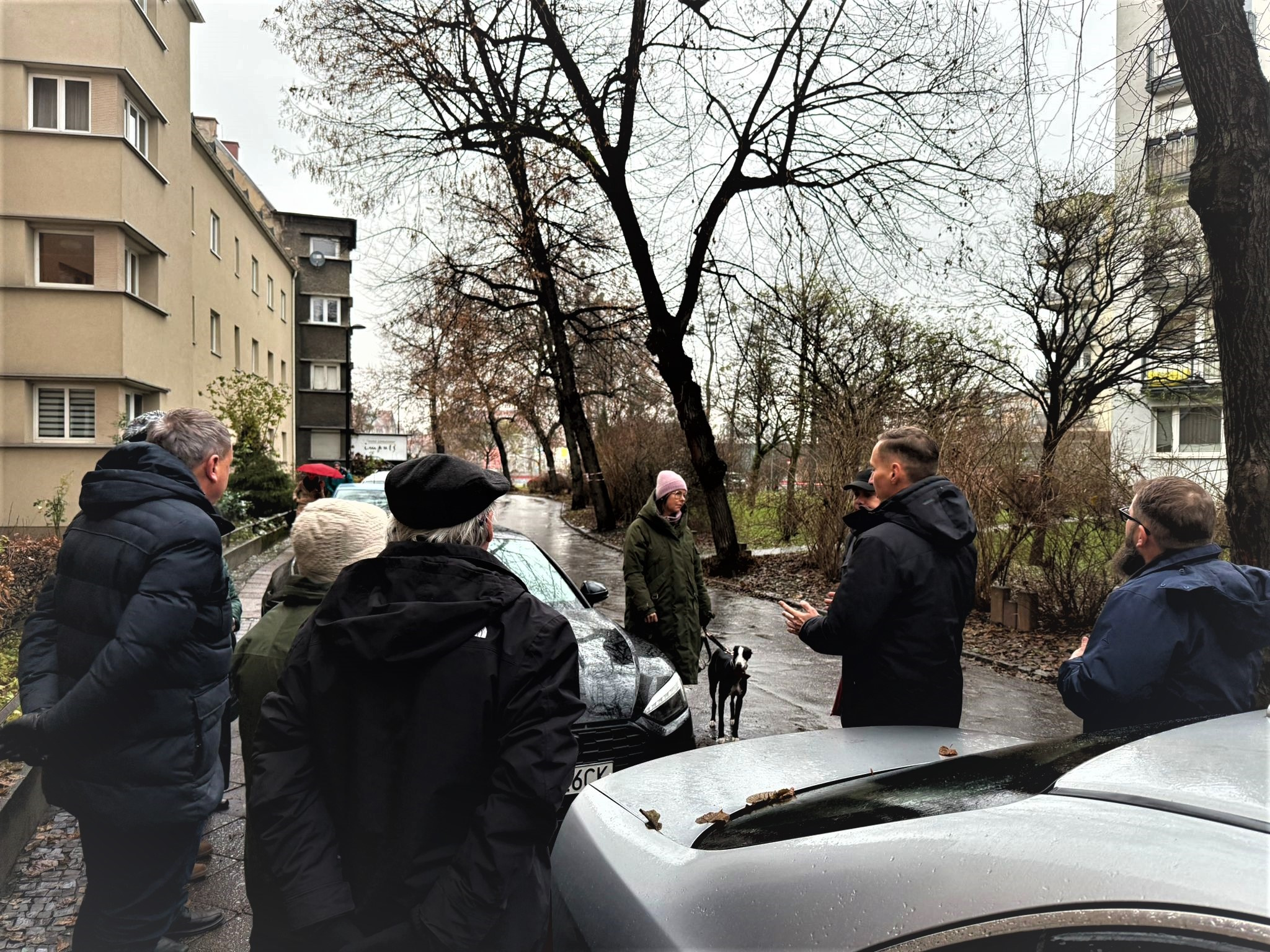 Głos mieszkańców jest ważny. Rozmawiamy o drzewach