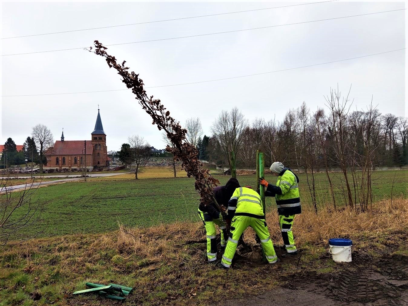 ludzie trzymający drzewo