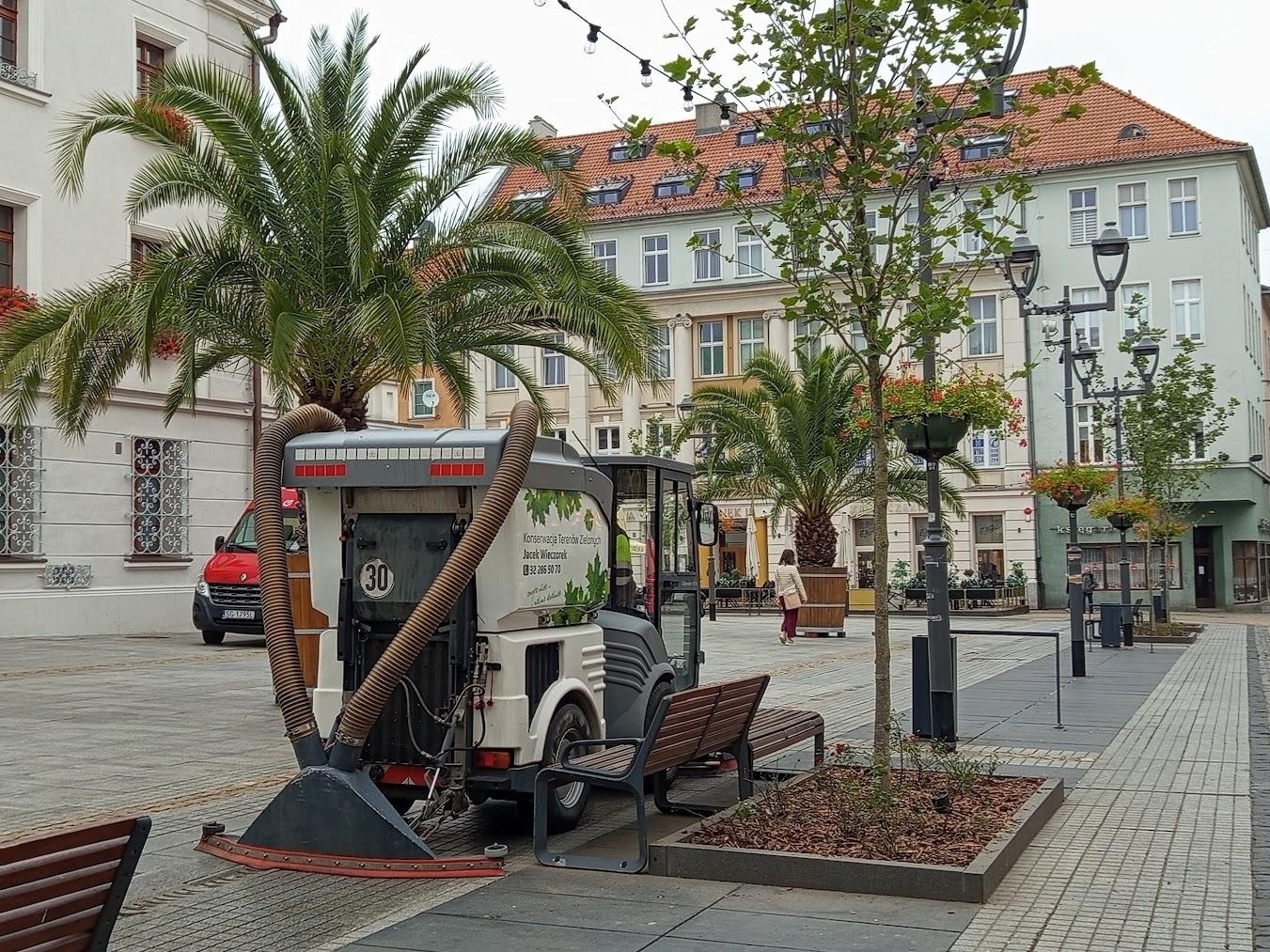 Trwają jesienne porządki. Praca wre 