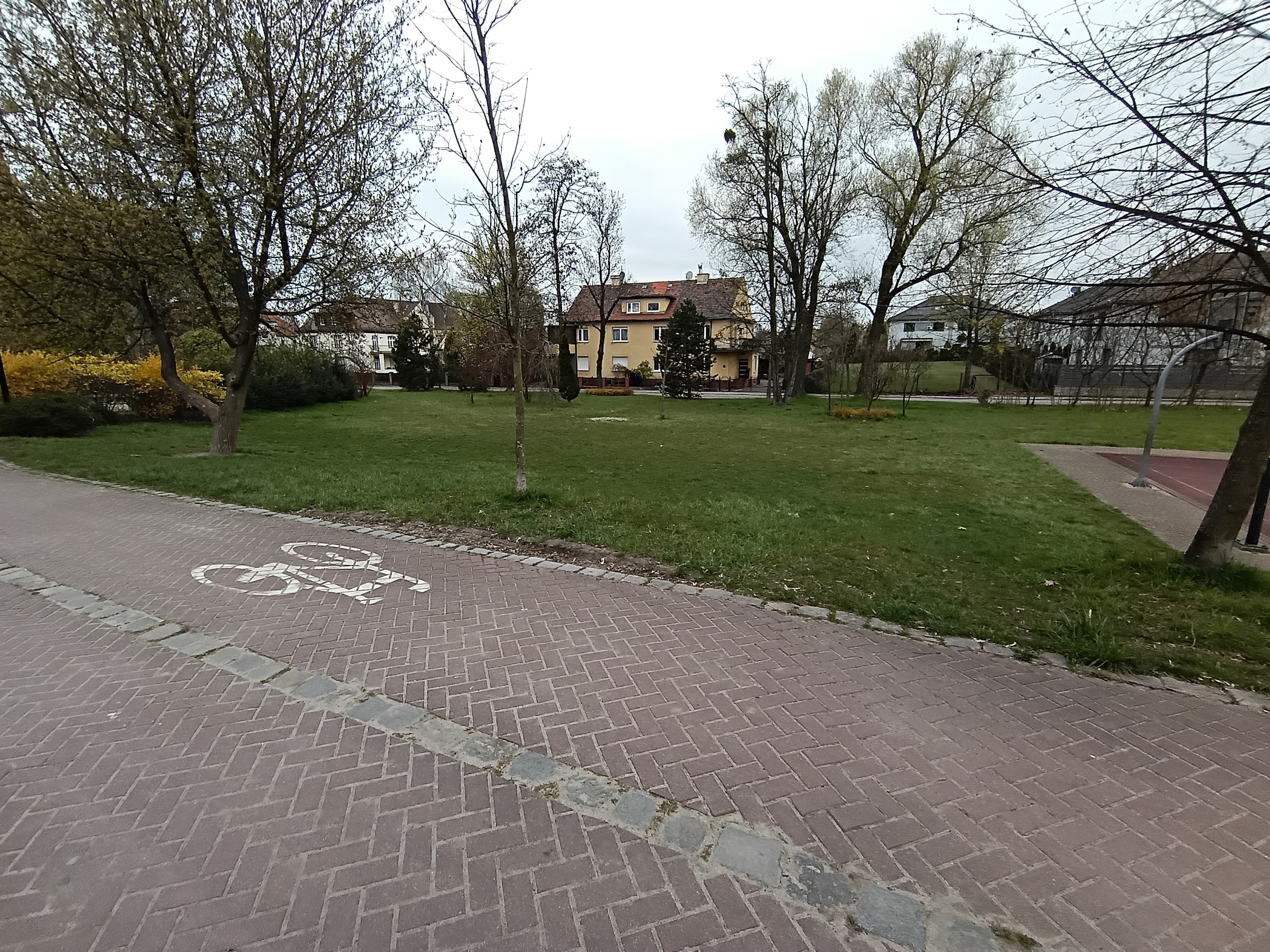 Ninja Park w Łabędach coraz bliżej