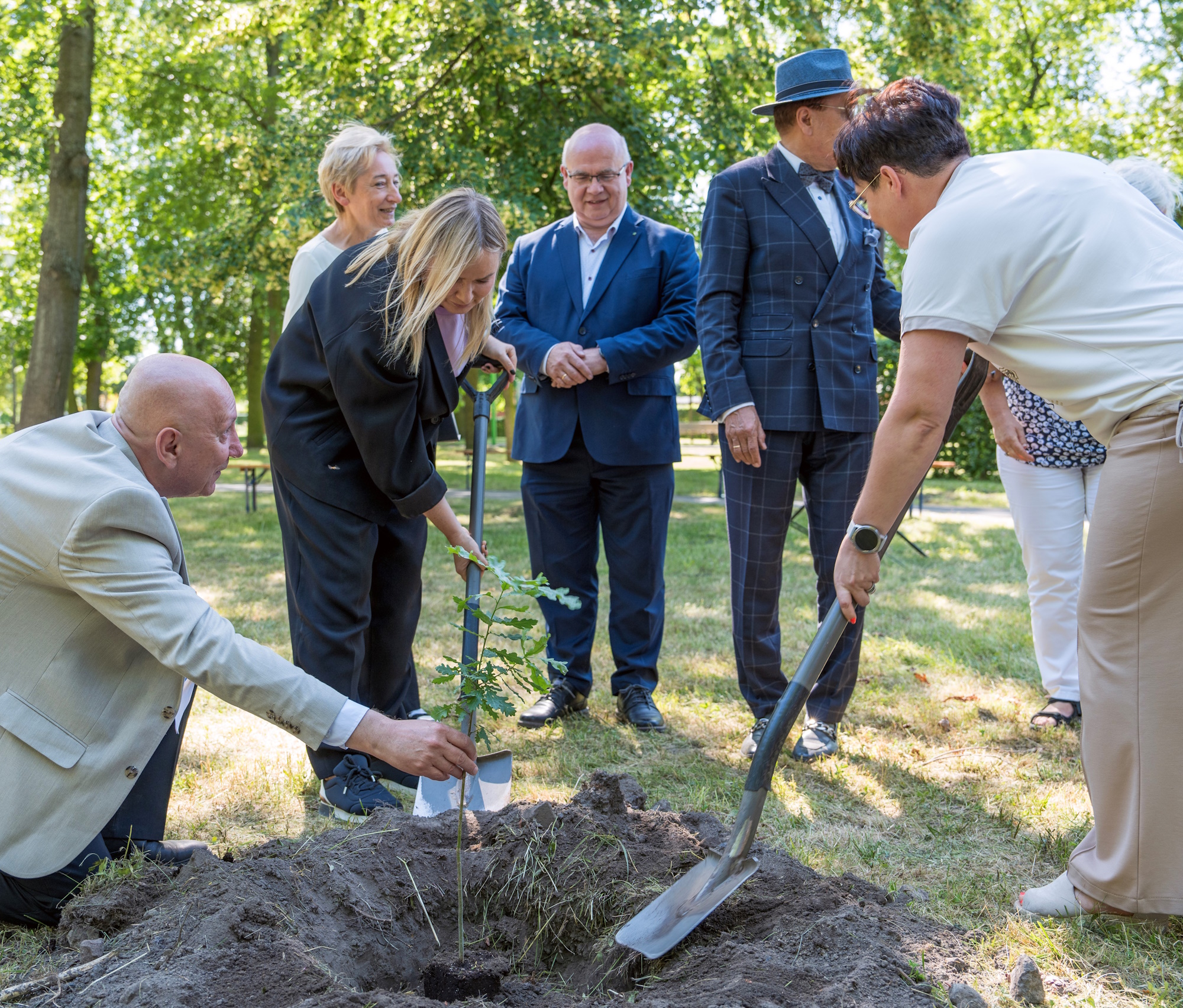 80 dębów w 80 rocznicę Tragedii Górnośląskiej – jeden z nich w Gliwicach