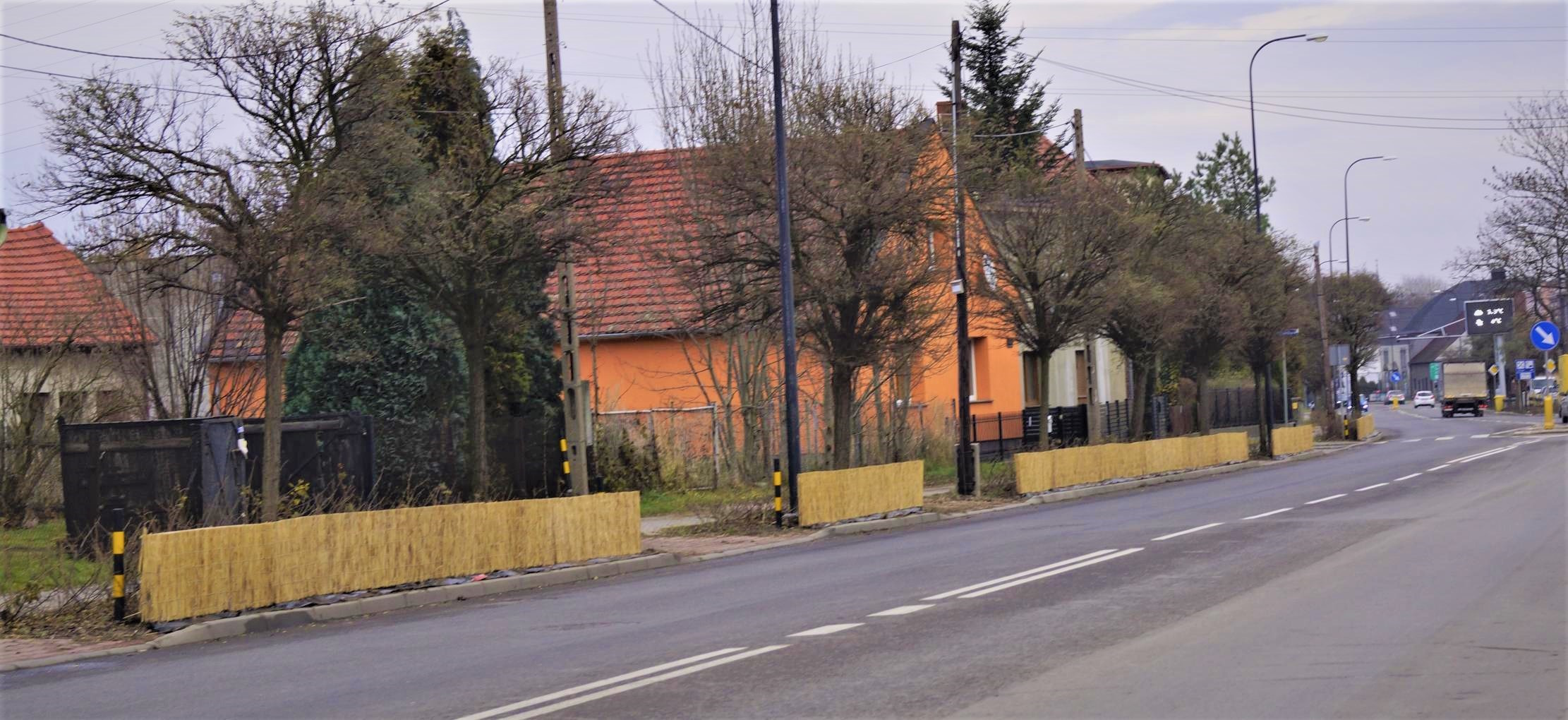 Te maty pozwolą roślinom bezpiecznie przetrwać zimę 