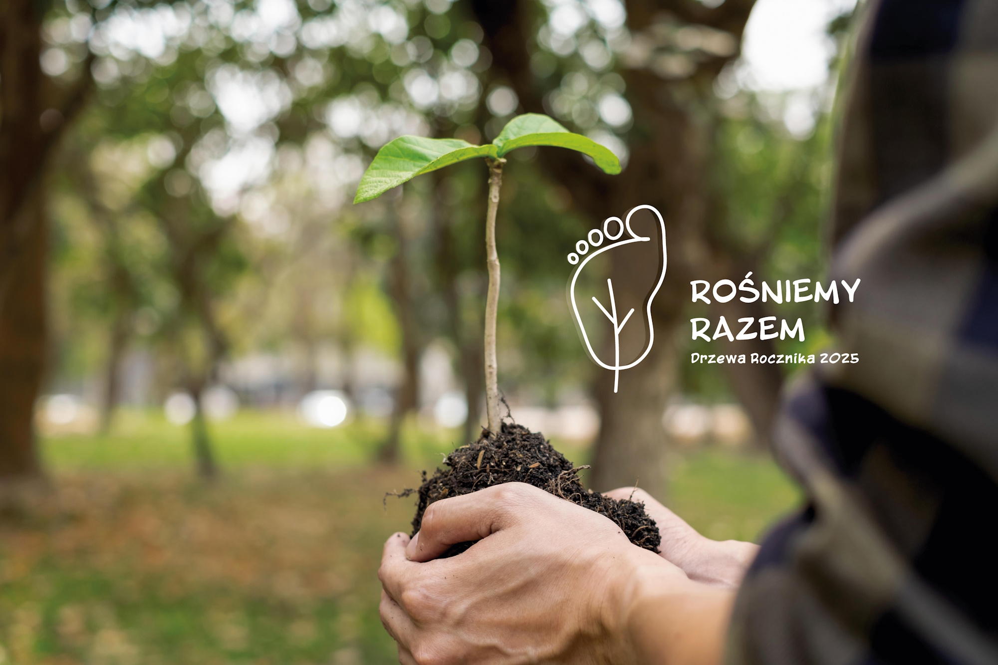 grafika z sadzonką drzewa i napisem Rośniemy Razem Drzewa rocznika 2025