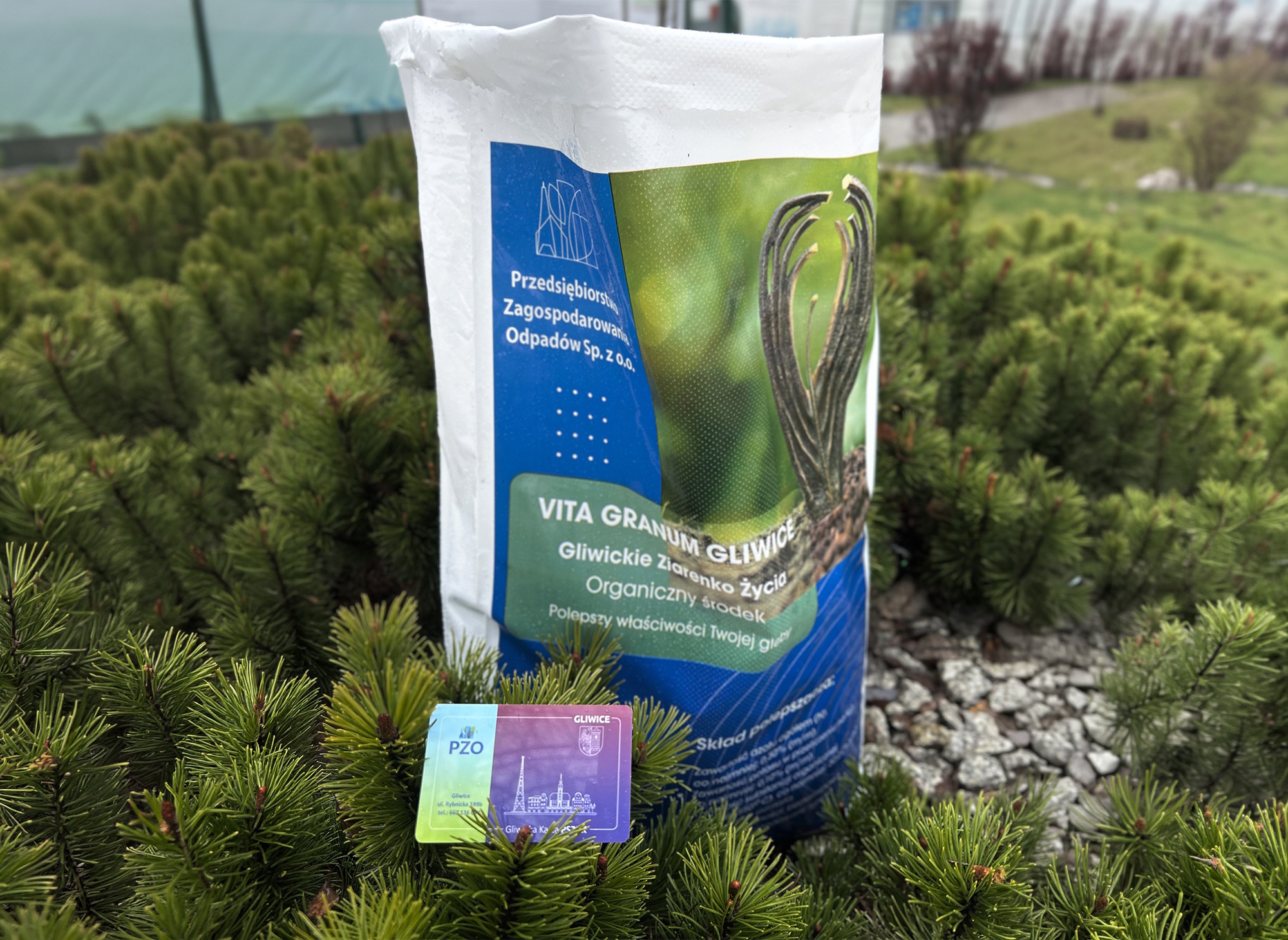 Oddajesz odpady, odbierasz coś dla ogrodu. W Gliwicach rozpoczyna się „Wyścig po żyzną glebę”