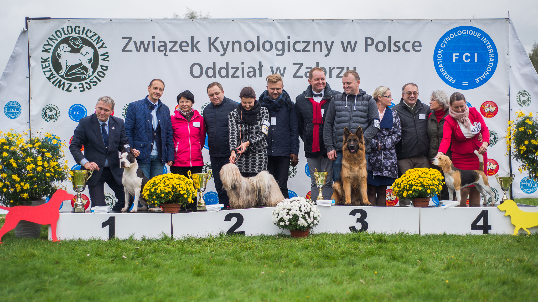 Najpiękniejsze!