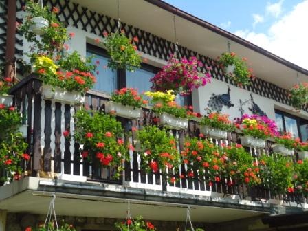 Masz ładny balkon lub ogródek? Pochwal się!