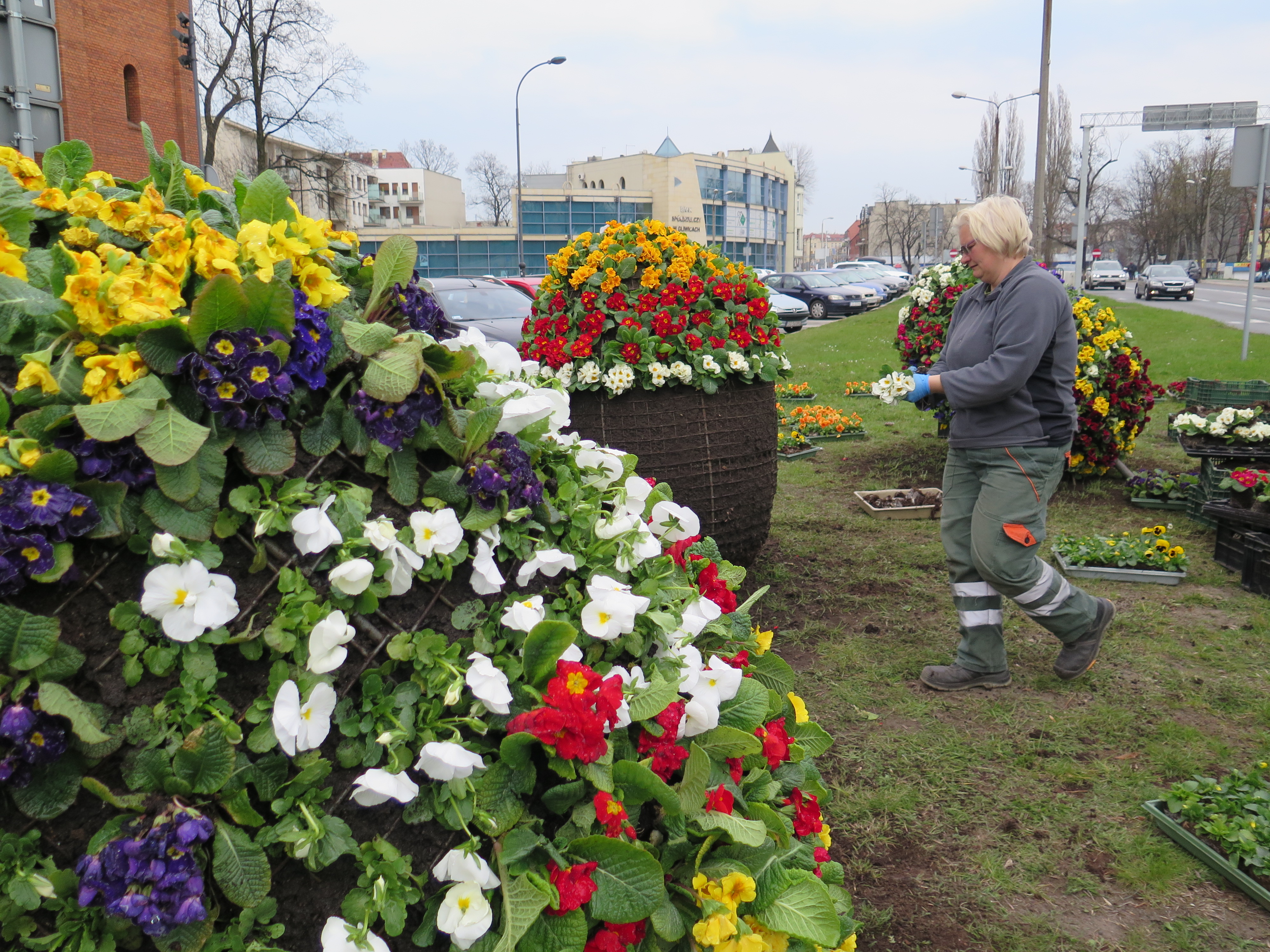 Gliwice pięknieją na wiosnę