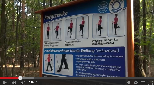 Nordic walking w Żernikach 