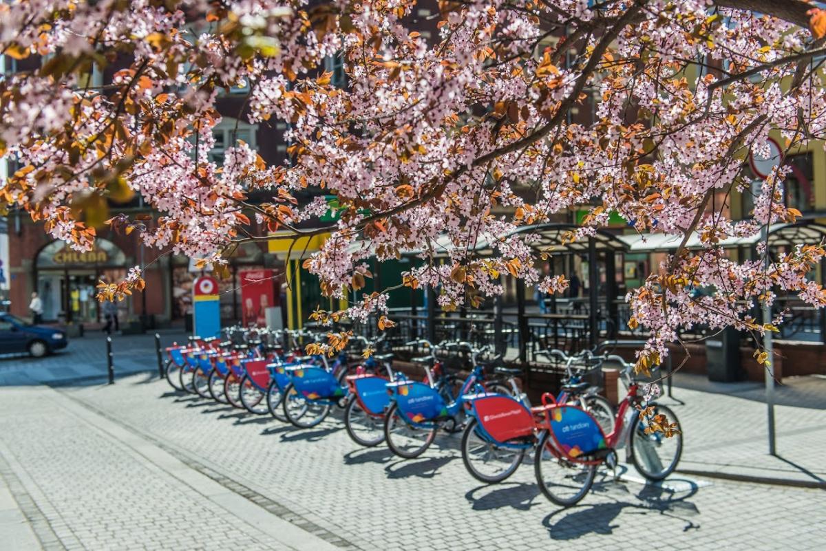 Wypożycz rower w Gliwicach, oddaj w innym mieście