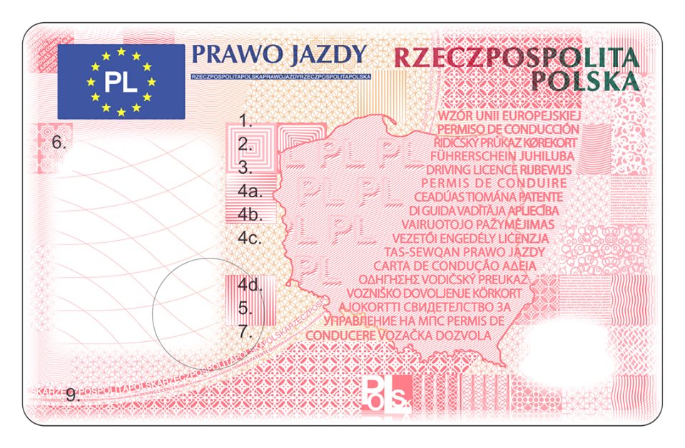 Nowe prawo jazdy bez adresu