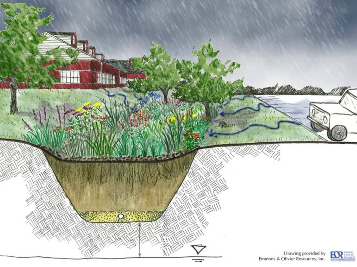 Metropolia zachęca szkoły i NGOsy do tworzenia ogrodów deszczowych 