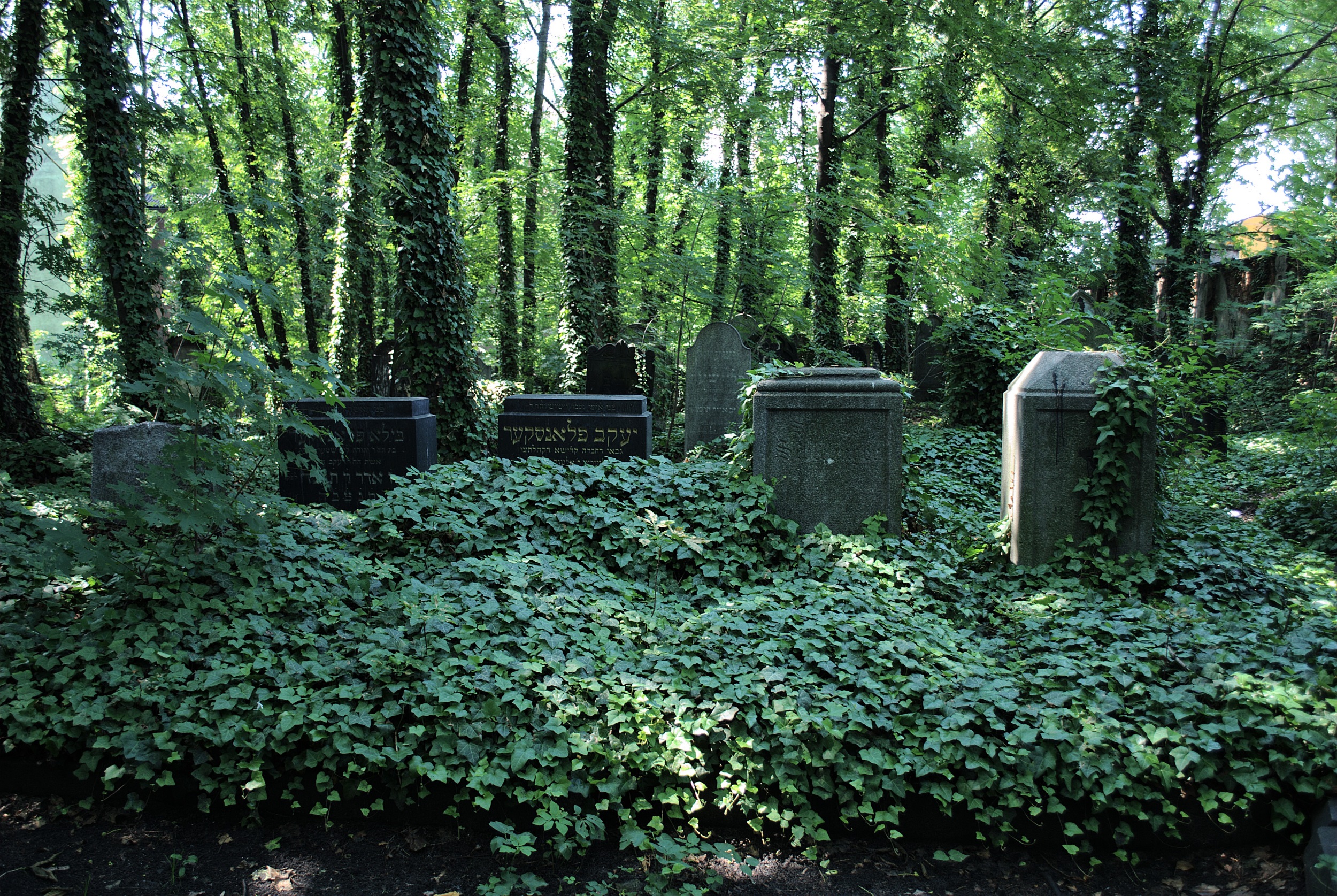 Zwiedzanie cmentarzy żydowskich z przewodnikiem