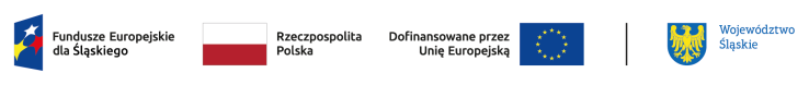 Fundusze Europejskie dla Śląskiego